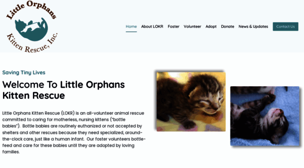 orphankittens.org