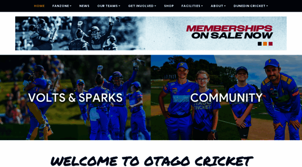 otagocricket.co.nz