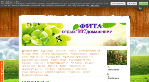 otdihpodomashnemu.jimdo.com