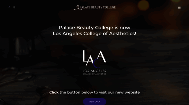 palacebeautycollege.com