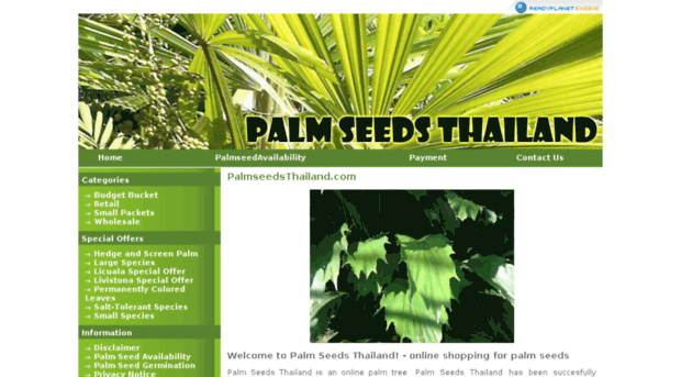palmseedsthailand.com