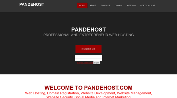 pandehost.com