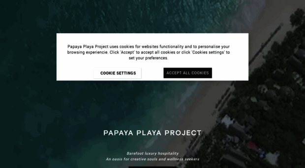 papayaplayaproject.com