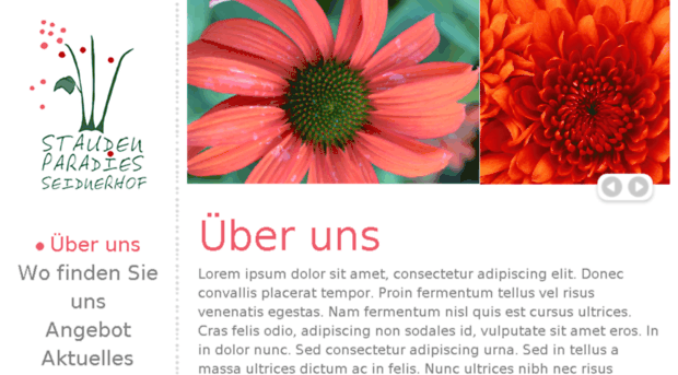 paradies.squarefishinc.com