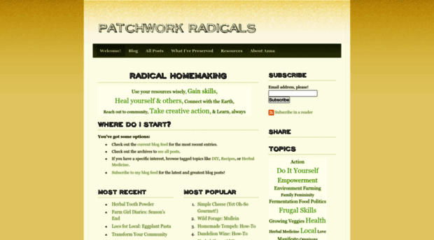 patchworkradicals.weebly.com