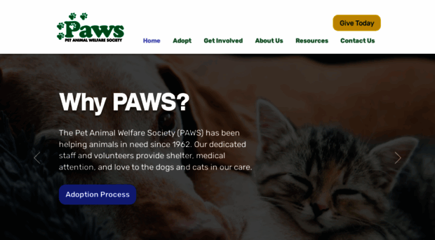 pawsct.org