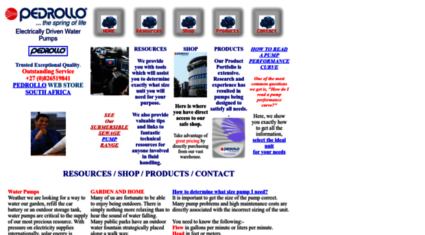 pedrollopumps.com