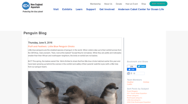 penguins.neaq.org