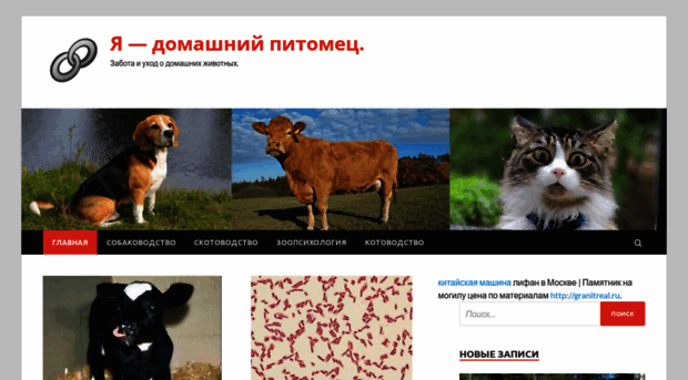 pets74.ru