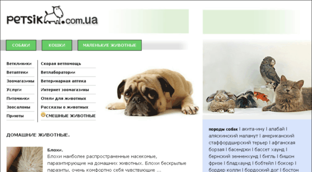 petsik.com.ua