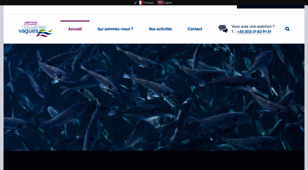 pfinouvellesvagues.com
