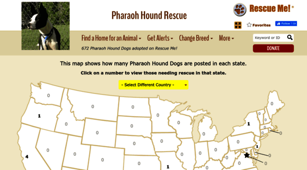pharaohhound.rescueme.org