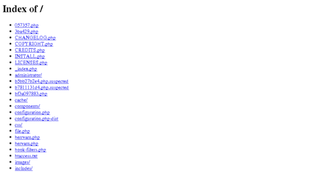 physel.ru
