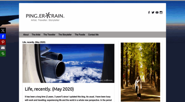 pingerrain.com