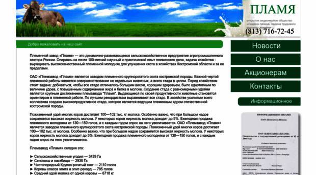 plamya-spb.ru