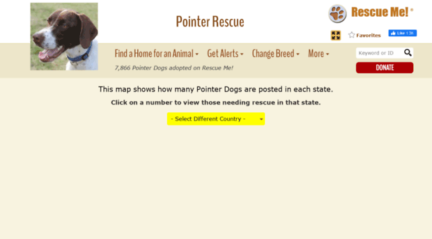 pointer.rescueme.org