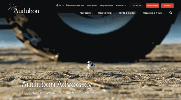 policy.audubon.org