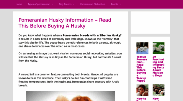 pomeranianhuskyhq.com