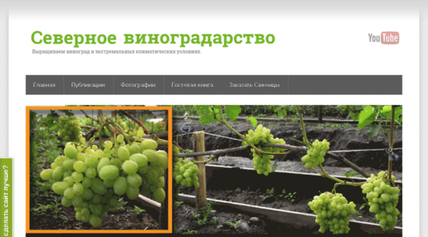 posadivinograd.ru