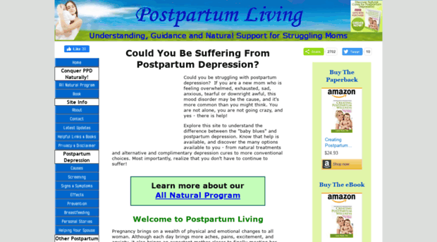 postpartum-living.com