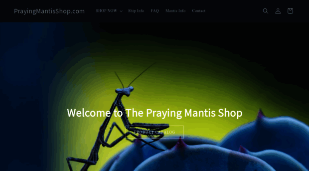prayingmantisshop.com