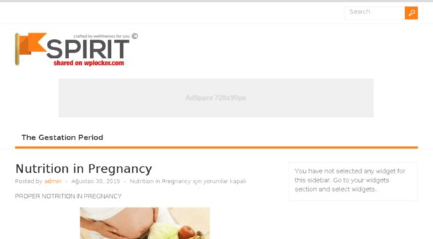 pregnancyroads.com