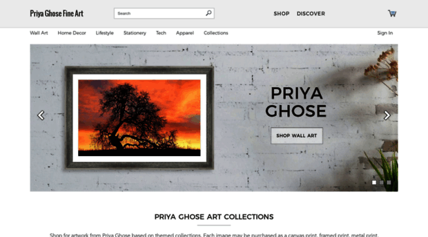 priya-ghose.artistwebsites.com