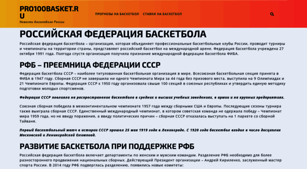 pro100basket.ru