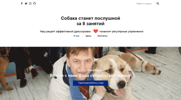problemdog.ru