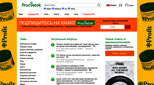 procvetok.com