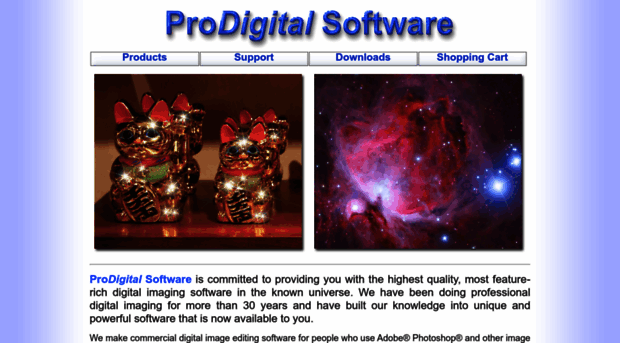prodigitalsoftware.com