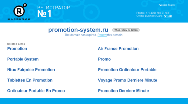 promotion-system.ru