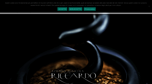 proseccoriccardo.com