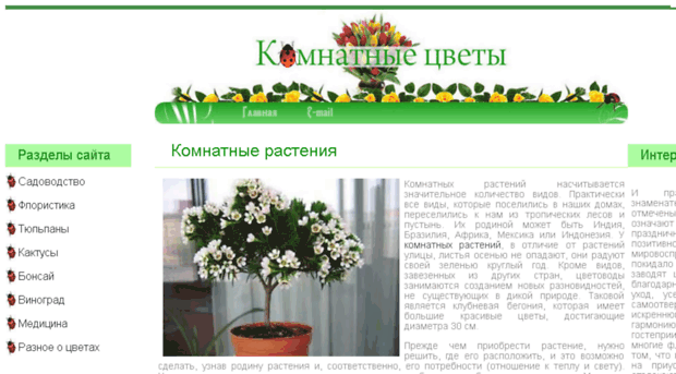 prostoflora.ru