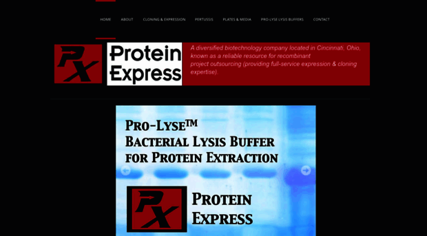 proteinexpress.com
