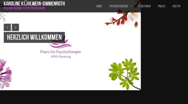 psychotherapiepraxis-adhsberatung.de