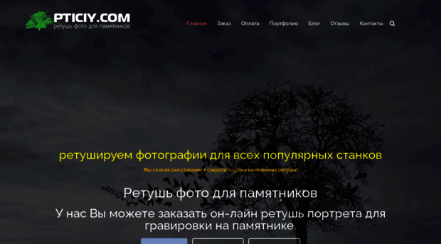 pticiy.com