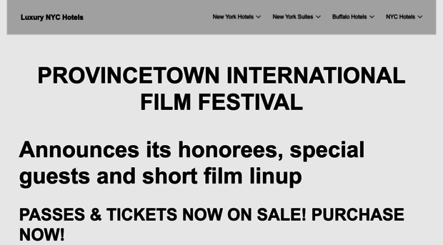 ptownfilmfest.org