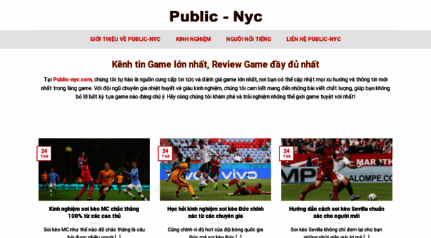 public-nyc.com