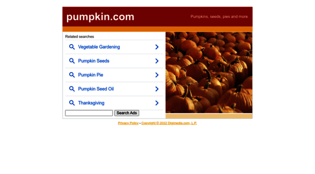 pumpkin.com