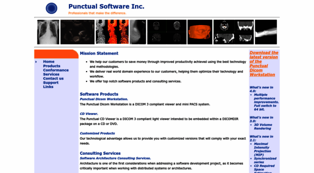 punctualsoftware.com