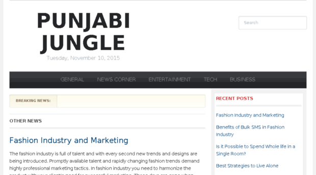 punjabijungle.com