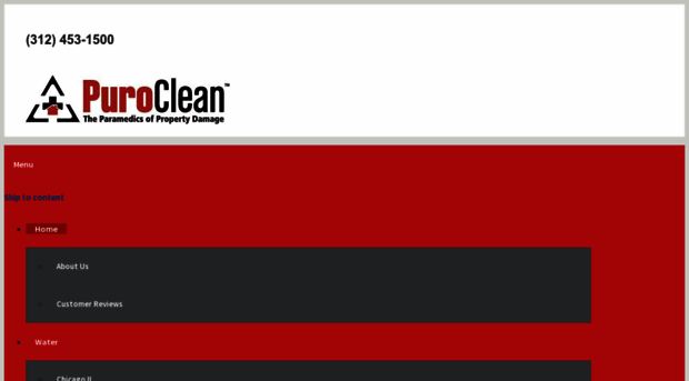 purocleanchicagoland.com