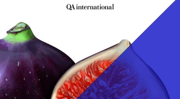 qa-international.com
