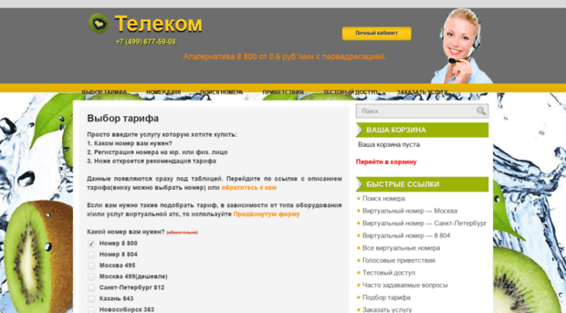 qiwitelecom.ru