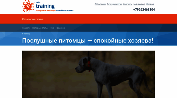 r-training.ru