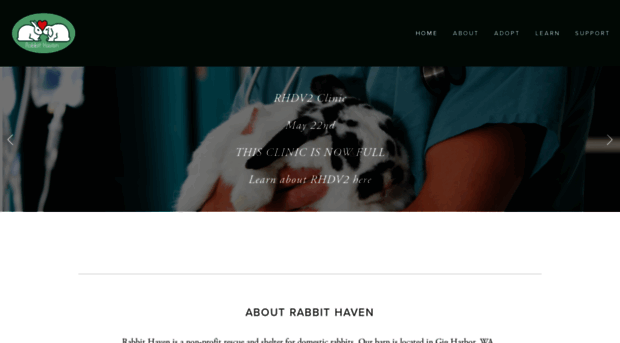 rabbithaven.org