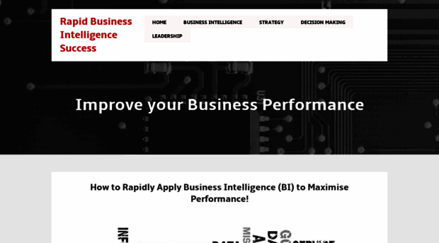 rapid-business-intelligence-success.com