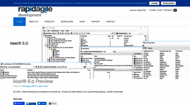rapidagiledevelopment.com