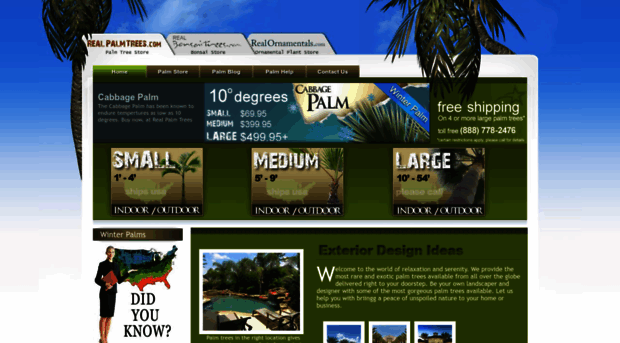 realpalmtrees.com